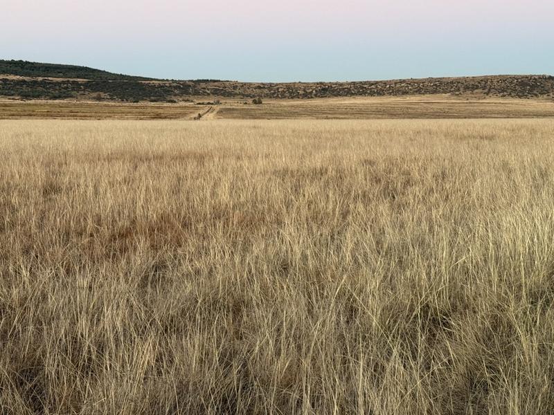0 Bedroom Property for Sale in Warden Free State
